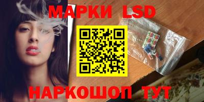 стафф Новокубанск