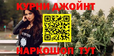 стафф Новокубанск