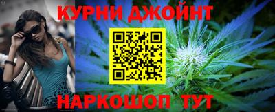 стафф Новокубанск