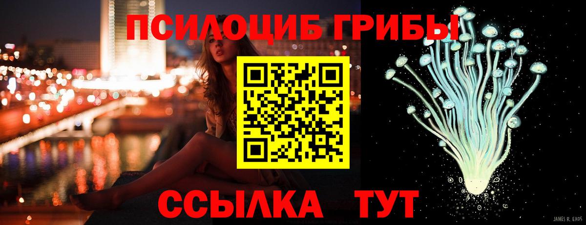 Галлюциногенные грибы Psilocybe Родники